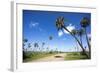 El Palmar Parque National, Where the Last Palm Yatay Can Be Found, Argentina-Peter Groenendijk-Framed Photographic Print