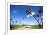 El Palmar Parque National, Where the Last Palm Yatay Can Be Found, Argentina-Peter Groenendijk-Framed Photographic Print