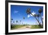 El Palmar Parque National, Where the Last Palm Yatay Can Be Found, Argentina-Peter Groenendijk-Framed Photographic Print