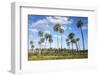 El Palmar Parque National, Where the Last Palm Yatay Can Be Found, Argentina-Peter Groenendijk-Framed Photographic Print