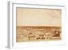 El Paso, Texas Panoramic-F. Parker-Framed Premium Giclee Print