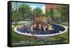 El Paso, Texas - San Jacinto Plaza, View of the Alligator Pool, c.1940-Lantern Press-Framed Stretched Canvas