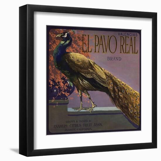 El Pavo Real Brand - Anaheim, California - Citrus Crate Label-Lantern Press-Framed Art Print