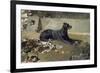 El Perro Tumbado-Joaquín Sorolla y Bastida-Framed Giclee Print