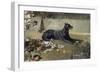 El Perro Tumbado-Joaquín Sorolla y Bastida-Framed Giclee Print