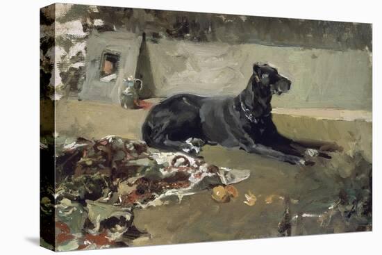 El Perro Tumbado-Joaquín Sorolla y Bastida-Stretched Canvas