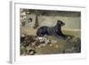 El Perro Tumbado-Joaquín Sorolla y Bastida-Framed Giclee Print