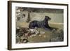 El Perro Tumbado-Joaquín Sorolla y Bastida-Framed Giclee Print