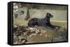 El Perro Tumbado-Joaquín Sorolla y Bastida-Framed Stretched Canvas