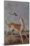 El perro y la picaza', 17th century, Oil on canvas, 115 cm x 83 cm-PAUL DE VOS-Mounted Poster
