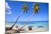 El Portillo Beach, Las Terrenas, Samana Peninsula, Dominican Republic, West Indies, Caribbean-Jane Sweeney-Mounted Photographic Print