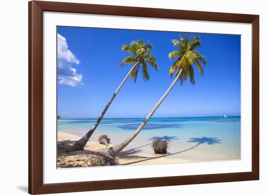 El Portillo Beach, Las Terrenas, Samana Peninsula, Dominican Republic, West Indies, Caribbean-Jane Sweeney-Framed Photographic Print