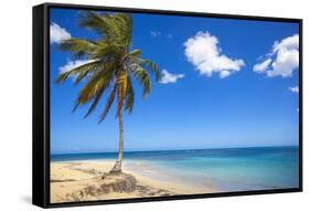 El Portillo Beach, Las Terrenas, Samana Peninsula, Dominican Republic, West Indies, Caribbean-Jane Sweeney-Framed Stretched Canvas