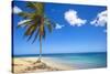 El Portillo Beach, Las Terrenas, Samana Peninsula, Dominican Republic, West Indies, Caribbean-Jane Sweeney-Stretched Canvas