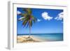 El Portillo Beach, Las Terrenas, Samana Peninsula, Dominican Republic, West Indies, Caribbean-Jane Sweeney-Framed Photographic Print