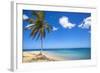 El Portillo Beach, Las Terrenas, Samana Peninsula, Dominican Republic, West Indies, Caribbean-Jane Sweeney-Framed Photographic Print