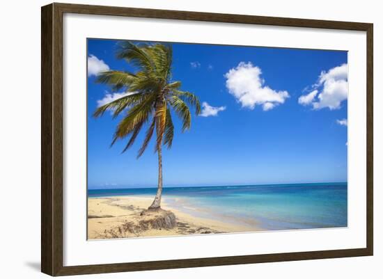 El Portillo Beach, Las Terrenas, Samana Peninsula, Dominican Republic, West Indies, Caribbean-Jane Sweeney-Framed Photographic Print