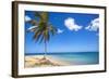 El Portillo Beach, Las Terrenas, Samana Peninsula, Dominican Republic, West Indies, Caribbean-Jane Sweeney-Framed Photographic Print