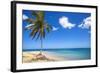 El Portillo Beach, Las Terrenas, Samana Peninsula, Dominican Republic, West Indies, Caribbean-Jane Sweeney-Framed Photographic Print