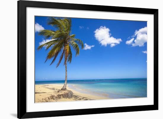 El Portillo Beach, Las Terrenas, Samana Peninsula, Dominican Republic, West Indies, Caribbean-Jane Sweeney-Framed Photographic Print