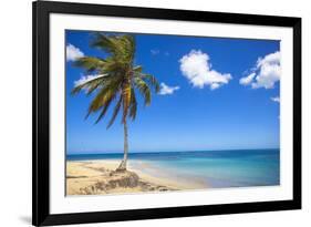 El Portillo Beach, Las Terrenas, Samana Peninsula, Dominican Republic, West Indies, Caribbean-Jane Sweeney-Framed Photographic Print