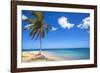 El Portillo Beach, Las Terrenas, Samana Peninsula, Dominican Republic, West Indies, Caribbean-Jane Sweeney-Framed Photographic Print