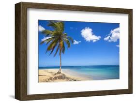 El Portillo Beach, Las Terrenas, Samana Peninsula, Dominican Republic, West Indies, Caribbean-Jane Sweeney-Framed Photographic Print