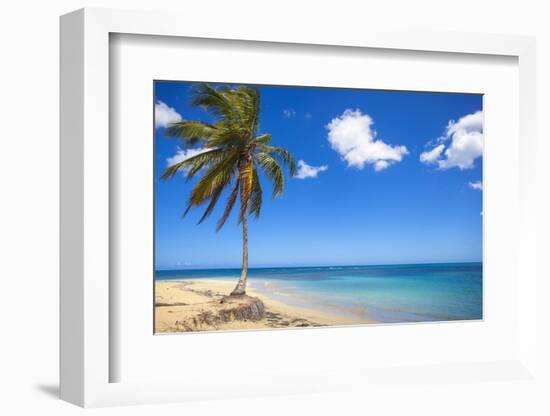 El Portillo Beach, Las Terrenas, Samana Peninsula, Dominican Republic, West Indies, Caribbean-Jane Sweeney-Framed Photographic Print