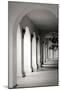 El Prado I-Erin Berzel-Mounted Photographic Print