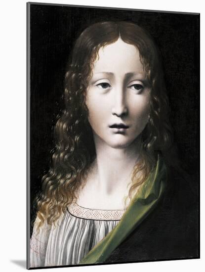 El Salvador Adolescente (The Adolescent Saviou), 1490-1495-Giovanni Antonio Boltraffio-Mounted Giclee Print