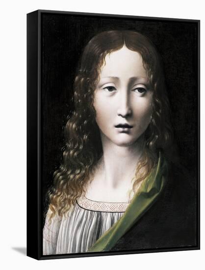 El Salvador Adolescente (The Adolescent Saviou), 1490-1495-Giovanni Antonio Boltraffio-Framed Stretched Canvas