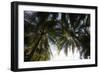 El Salvador, Central America. La Tortuga Verde lodge.-Connie Bransilver-Framed Photographic Print