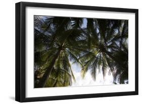 El Salvador, Central America. La Tortuga Verde lodge.-Connie Bransilver-Framed Photographic Print