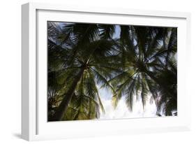 El Salvador, Central America. La Tortuga Verde lodge.-Connie Bransilver-Framed Photographic Print