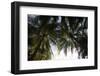 El Salvador, Central America. La Tortuga Verde lodge.-Connie Bransilver-Framed Photographic Print