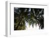 El Salvador, Central America. La Tortuga Verde lodge.-Connie Bransilver-Framed Photographic Print