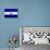 El Salvador Flag Design with Wood Patterning - Flags of the World Series-Philippe Hugonnard-Art Print displayed on a wall