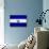 El Salvador Flag Design with Wood Patterning - Flags of the World Series-Philippe Hugonnard-Art Print displayed on a wall