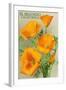 El Segundo, California - Poppy-Lantern Press-Framed Art Print