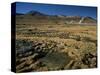 El Tatio Geyser, Atacama, Chile, South America-R Mcleod-Stretched Canvas