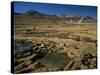 El Tatio Geyser, Atacama, Chile, South America-R Mcleod-Stretched Canvas