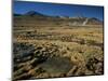 El Tatio Geyser, Atacama, Chile, South America-R Mcleod-Mounted Photographic Print