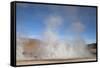 El Tatio Geyser Located in the Andes in Northern Atacama, Chile-Mallorie Ostrowitz-Framed Stretched Canvas