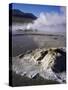 El Tatio Geysers and Fumaroles, Andes at 4300M, Northern Area, Chile, South America-Geoff Renner-Stretched Canvas