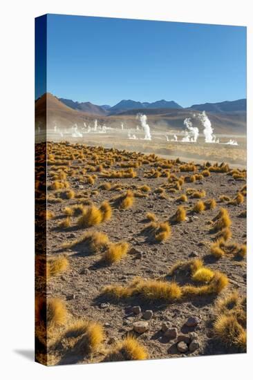 El Tatio Geysers in Atacama Desert-Daniele Falletta-Stretched Canvas