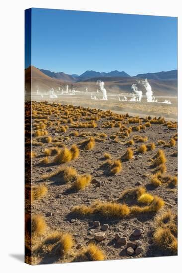El Tatio Geysers in Atacama Desert-Daniele Falletta-Stretched Canvas