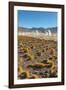 El Tatio Geysers in Atacama Desert-Daniele Falletta-Framed Photographic Print