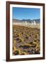 El Tatio Geysers in Atacama Desert-Daniele Falletta-Framed Photographic Print