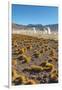 El Tatio Geysers in Atacama Desert-Daniele Falletta-Framed Photographic Print