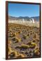 El Tatio Geysers in Atacama Desert-Daniele Falletta-Framed Photographic Print